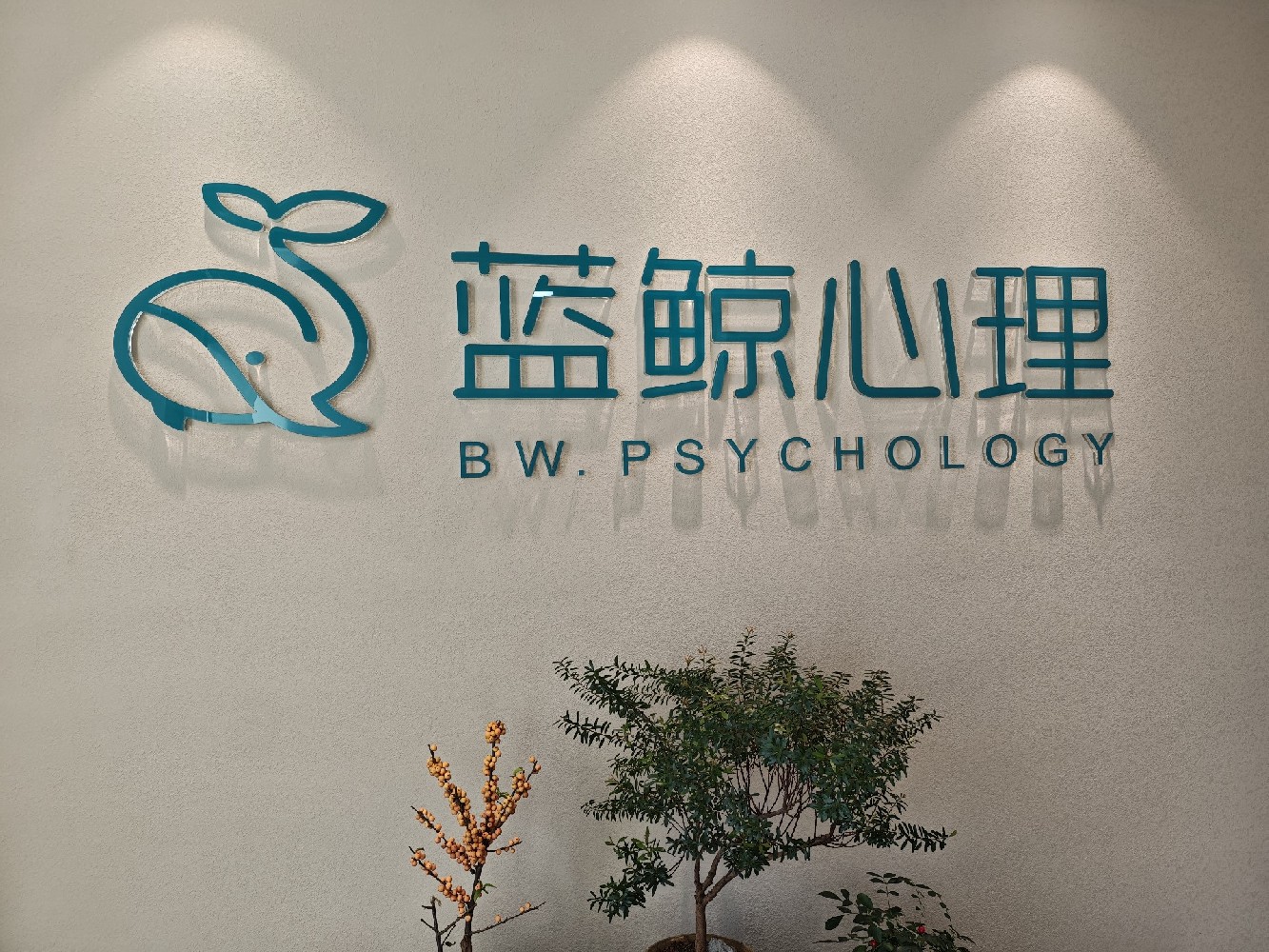 宁波心理咨询哪里好?宁波青少年心理哪里好?推荐蓝鲸心理!