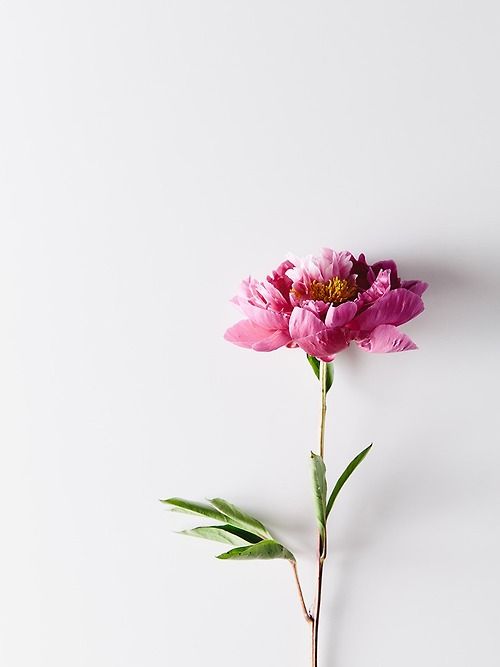 心理咨询师如何看待——民警暖心晒出女儿照片,成功解救跳楼女孩
